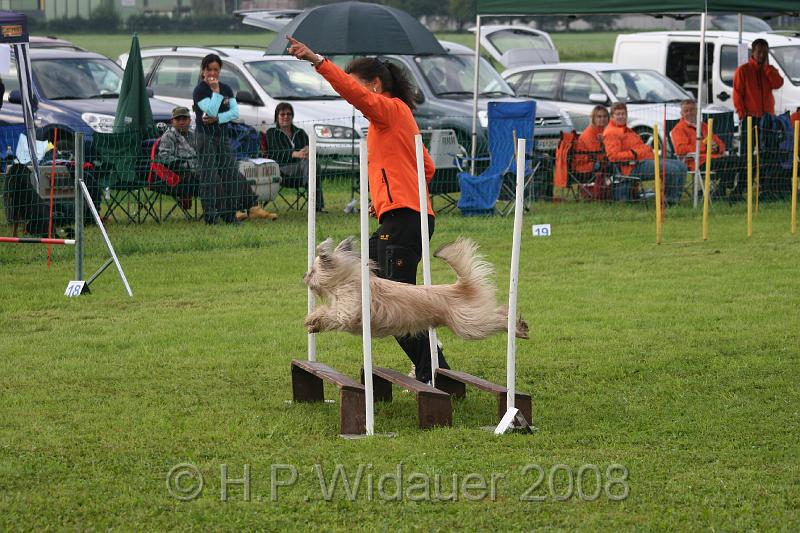 jubil.lusten. 045.jpg